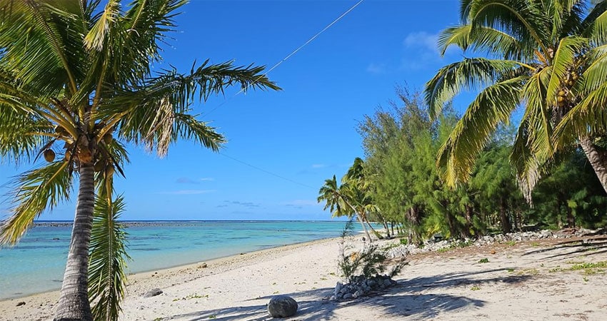 Rarotonga: End-fed from house (out of picture at top right) to palm tree and then parallel to beach (just visible)